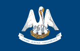 louisiana flag
