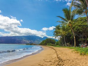 Hawaii is a mainstream choice, but still one of the best US islands to live on!