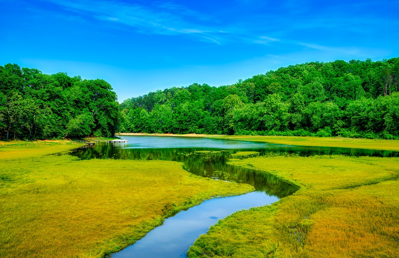 Picture of Tugaloo River in Georgia