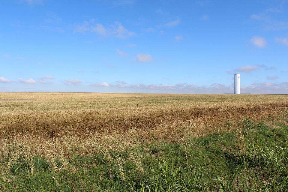 Wheat field in Oklahoma