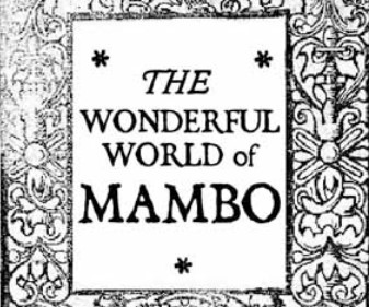 Mambo Movers company logo