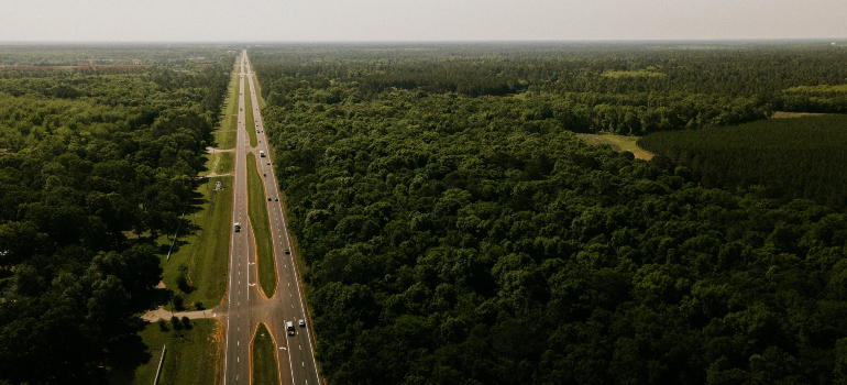 A road in Georgia within the acres of forest photographed from above.