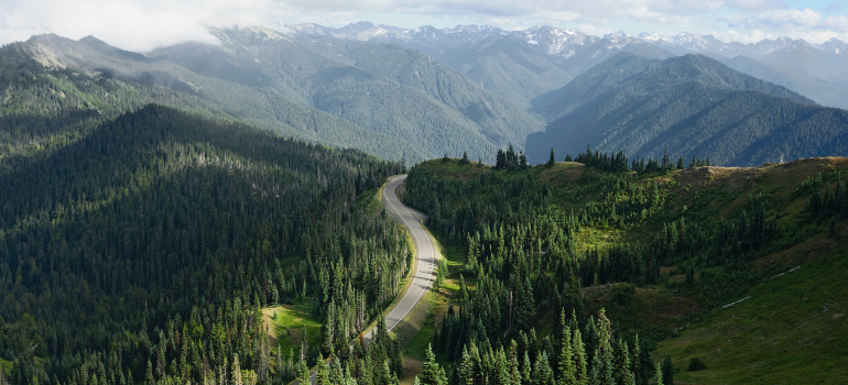 A road passing through the forest in Washington.